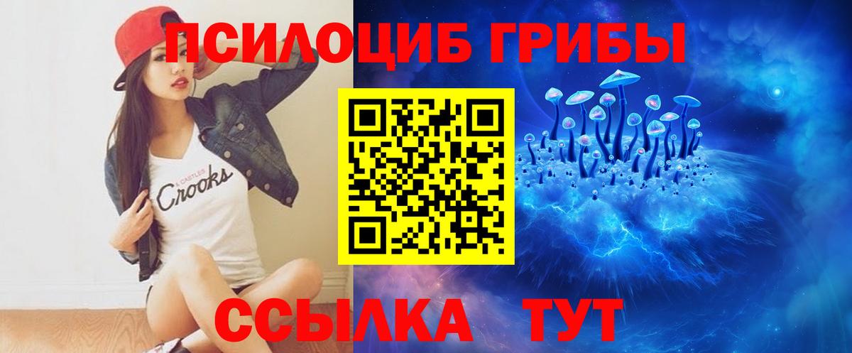 Галлюциногенные грибы мухоморы  Псилоцибиновые грибы Magic Shrooms  Дальнегорск  закладки  Вход с VPN 